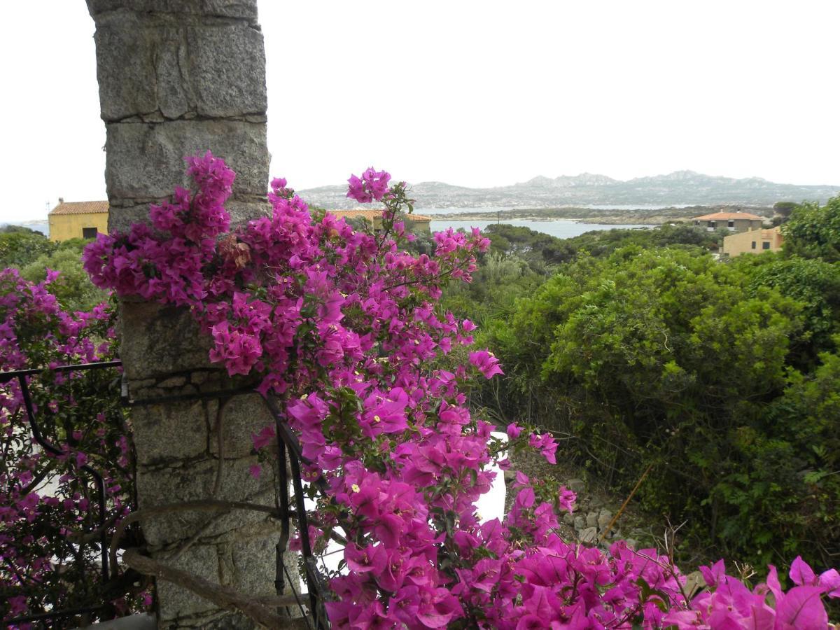 Villa Carlotta La Maddalena La Maddalena  Exterior foto